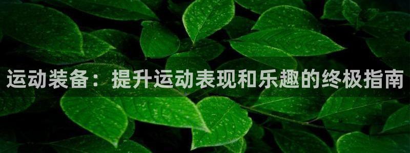 耀世集团视频直播在哪看：运动装备：提升运动表现和乐趣