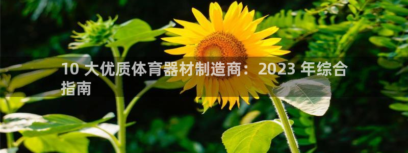 耀世幻主：10 大优质体育器材制造商：2023 年综