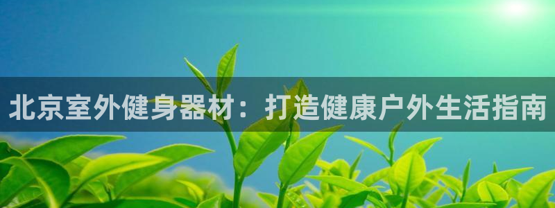 耀世平台开户流程：北京室外健身器材：打造健康户外生活指南